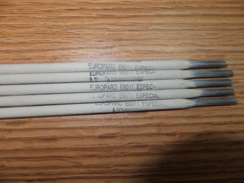 E6011.JPG